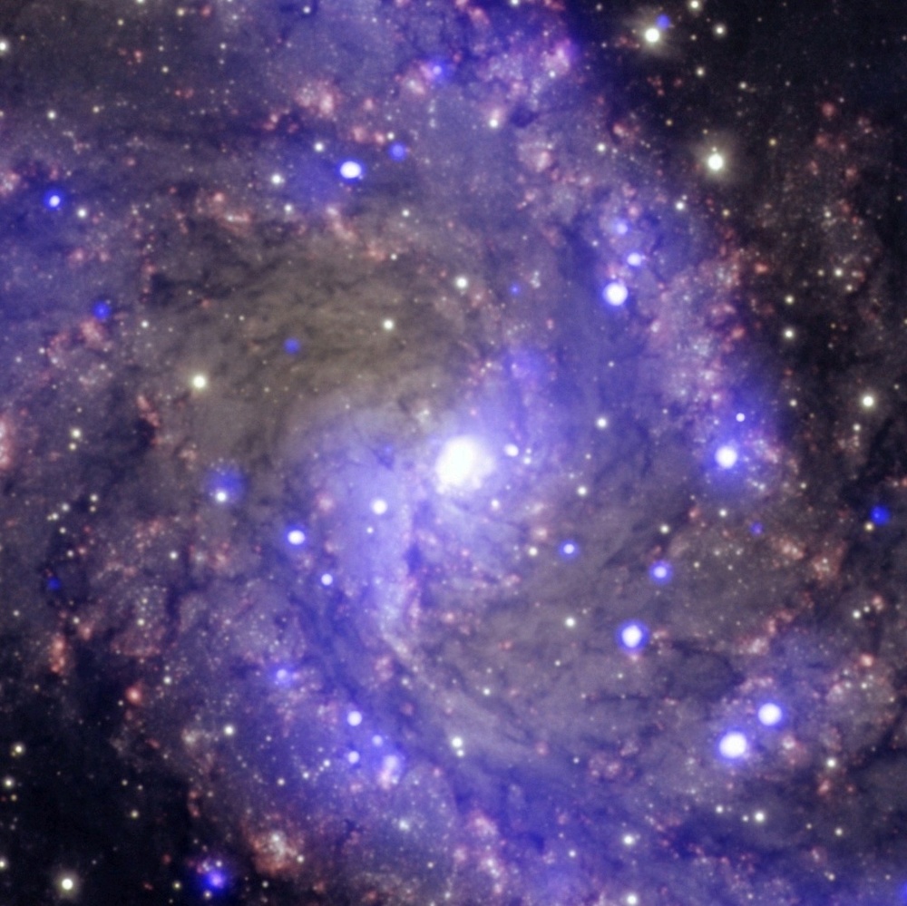 Meet your Posher, Shu